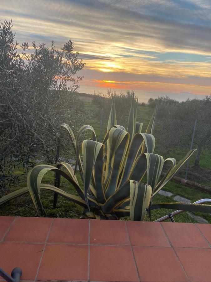 Appartamento Sunset House Castiglioncello Esterno foto
